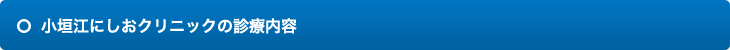 小垣江にしおクリニックの診療内容